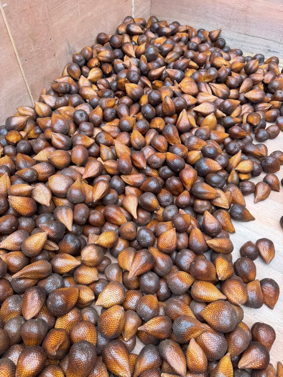 Snake Fruit