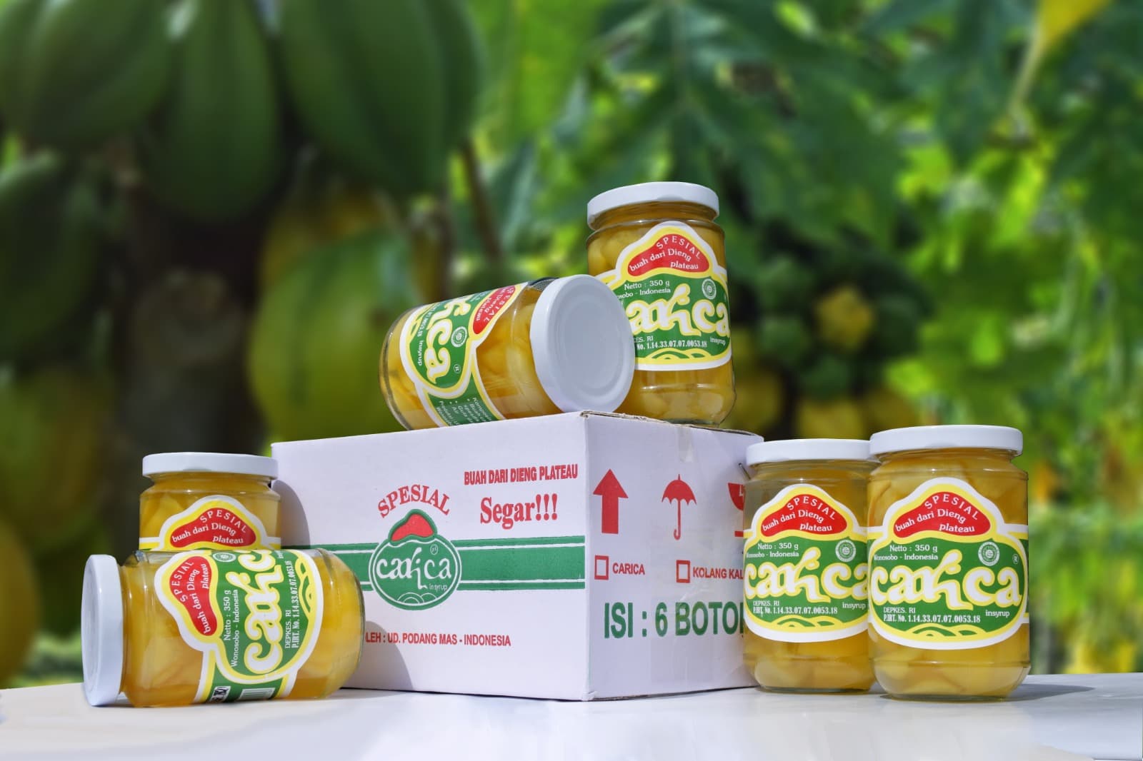 Carica